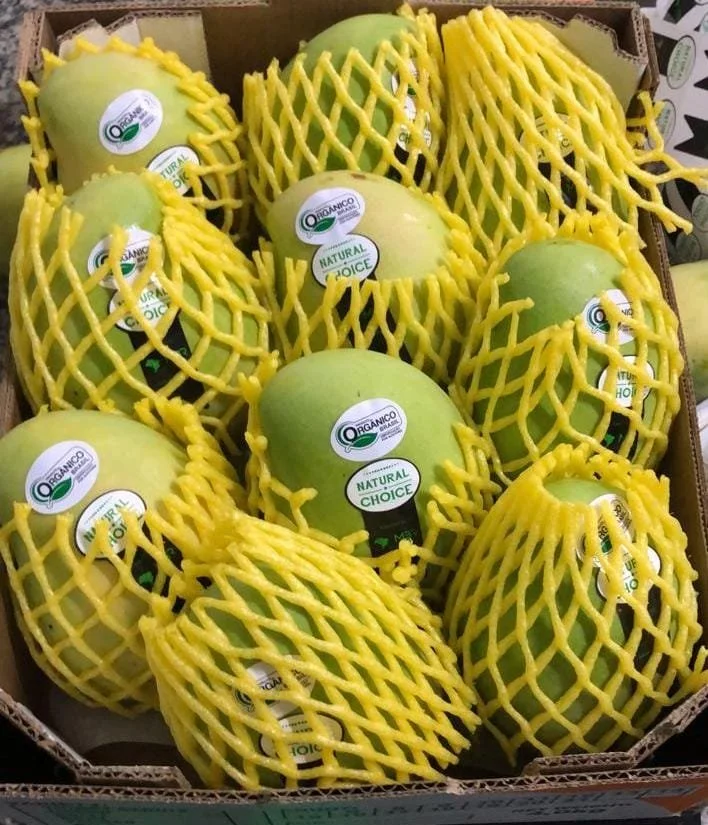 Mangas protegidas por redes amarelas em uma caixa de papelão