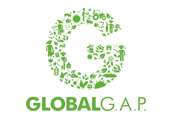 Logotipo da GLOBALG.A.P. formado por ícones verdes de alimentos e agricultura em forma de letra G, com o texto "GLOBALG.A.P." abaixo.