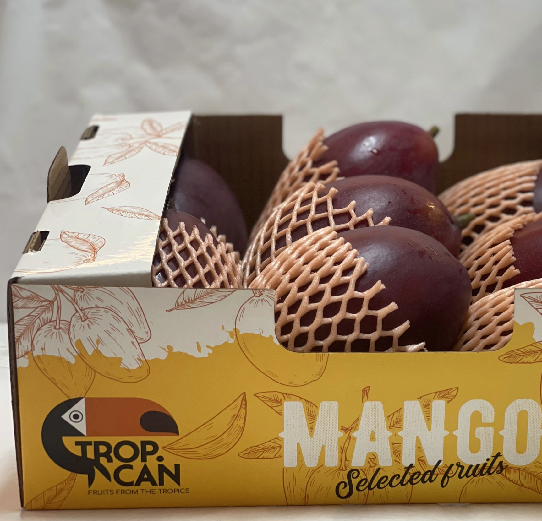 tropcan mango carton filled with palmer mangoes with foam protection net