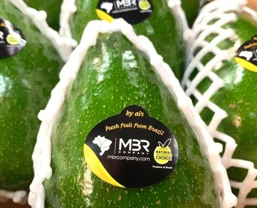 geada avocado with protection package and mbr black sticker