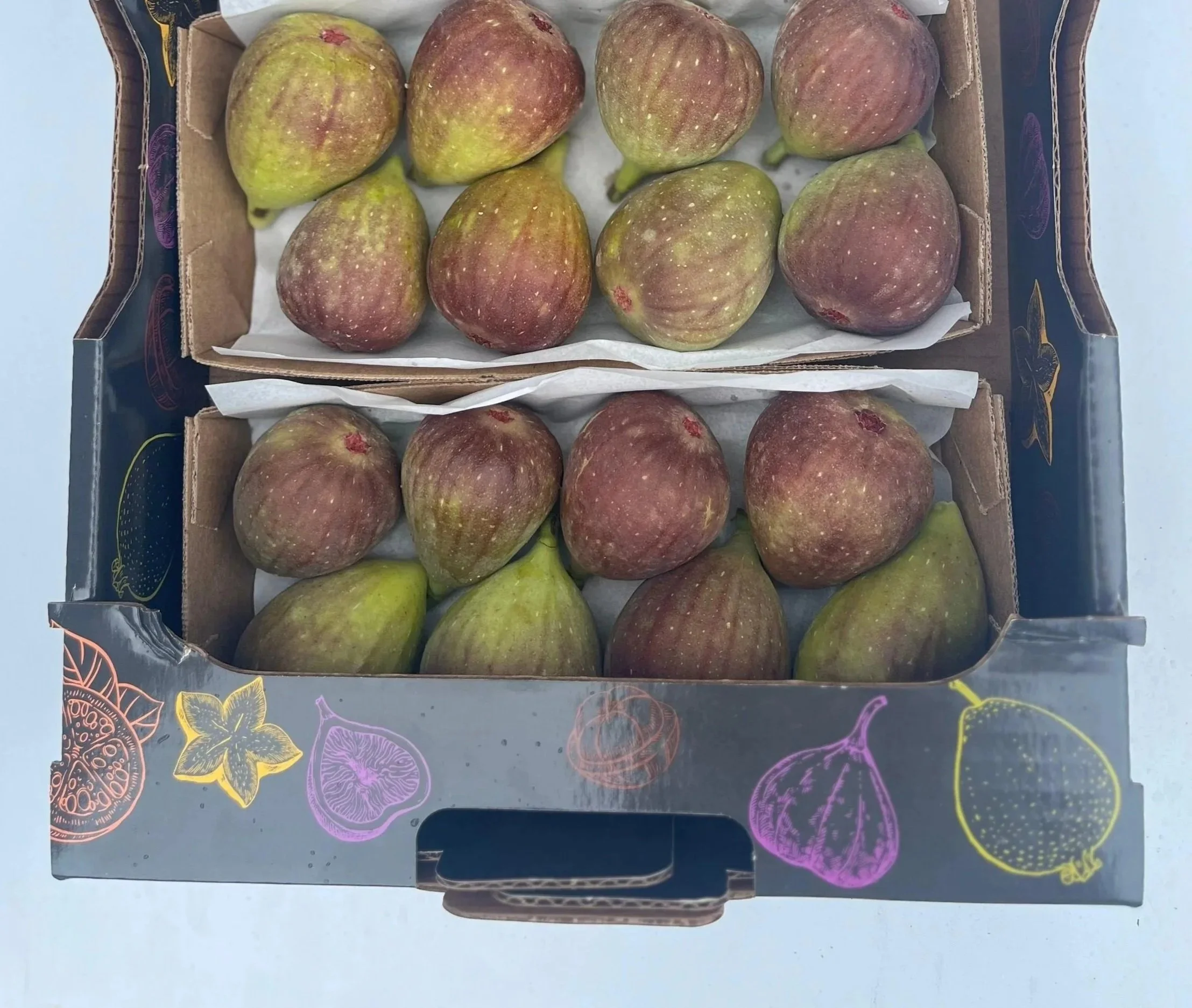 Caixa com tâmaras maduras e secas, algumas com manchas brancas e uma coloração marrom avermelhada.