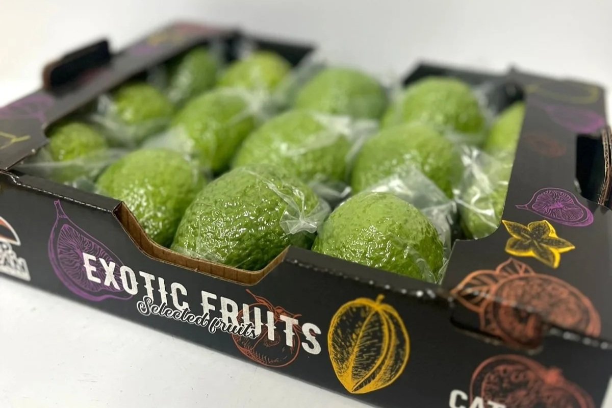 Caixa preta com frutas exóticas embaladas individualmente. Frutas verdes arredondadas e de casca rugosa, identificadas como frutas exóticas na embalagem.
