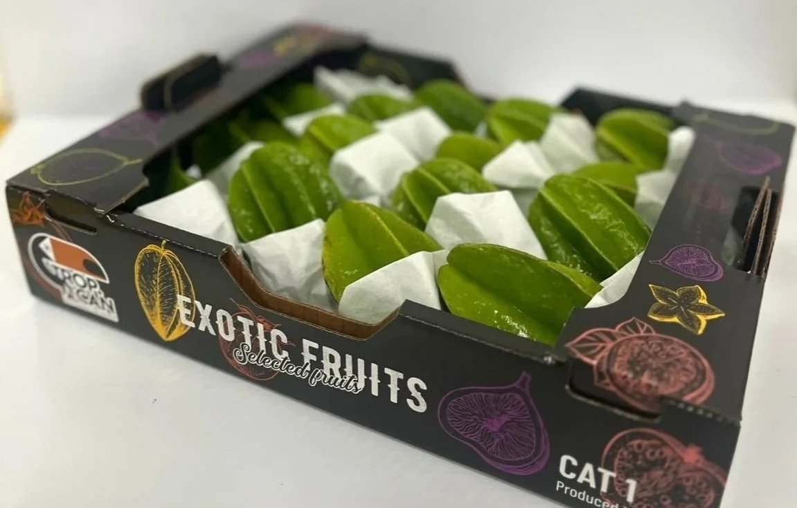 Caixa contendo frutas exóticas verdes, cortadas em pedaços pequenos, embaladas individualmente com papel branco.