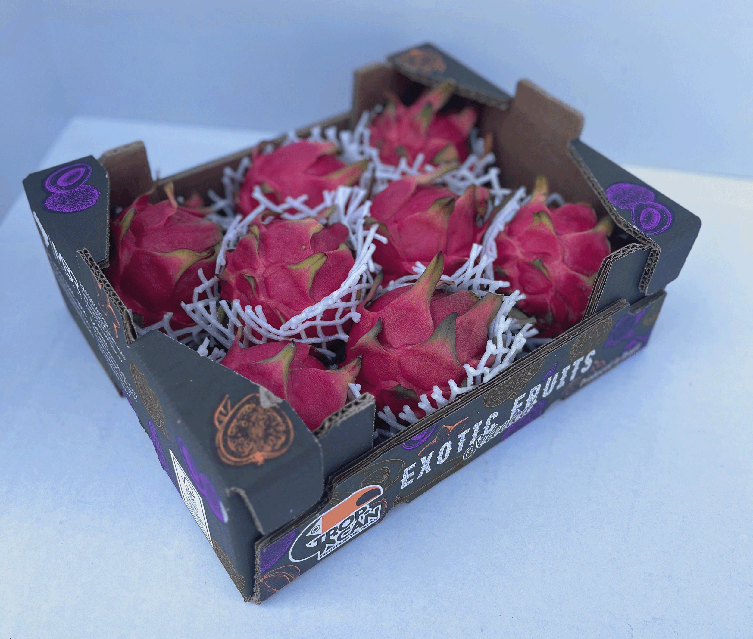 exotic fruits carton filled with red pitayas over foam protection nets