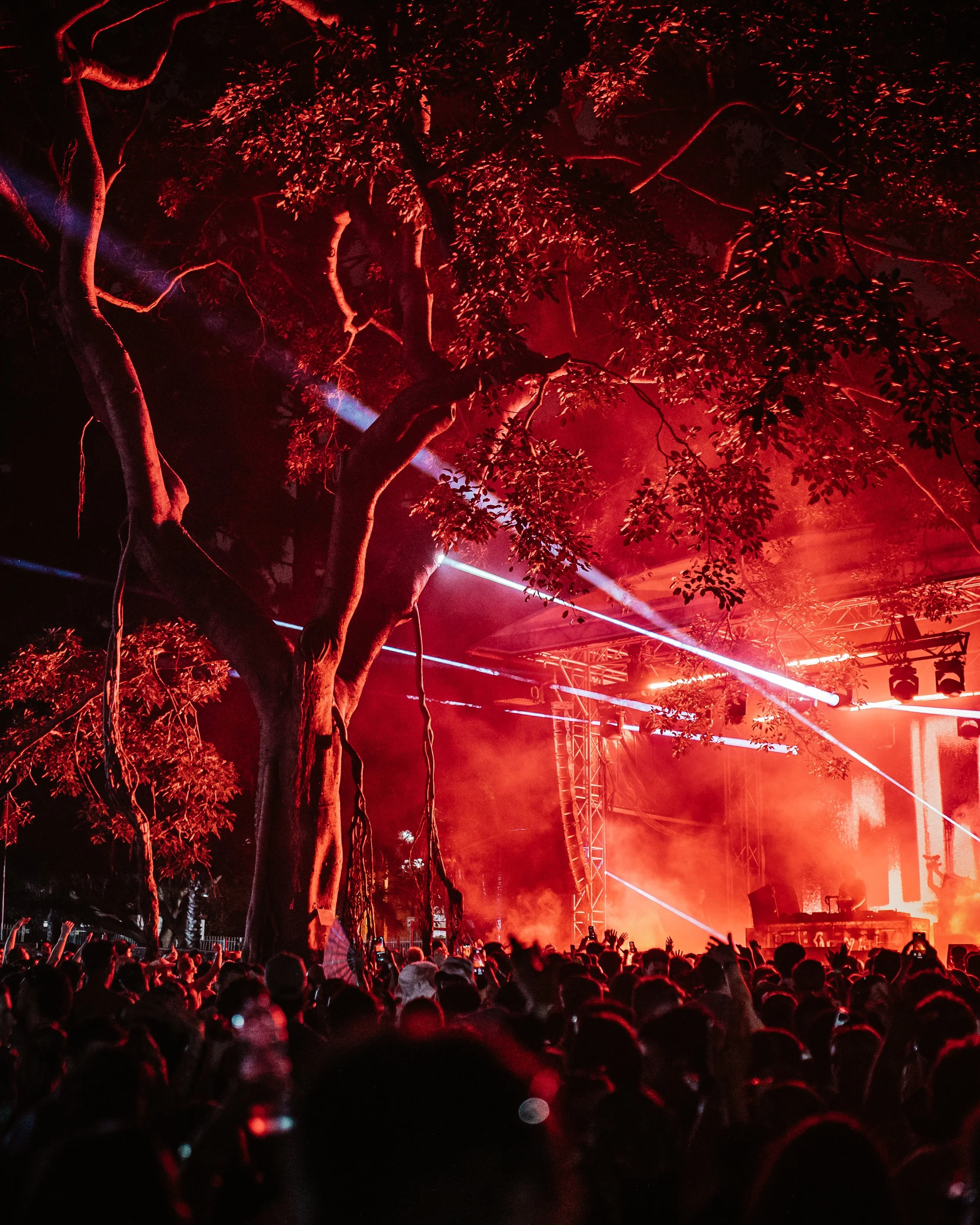 A crowded concert with a large audience watching a stage illuminated with bright red and purple lights, and trees visible in the background.