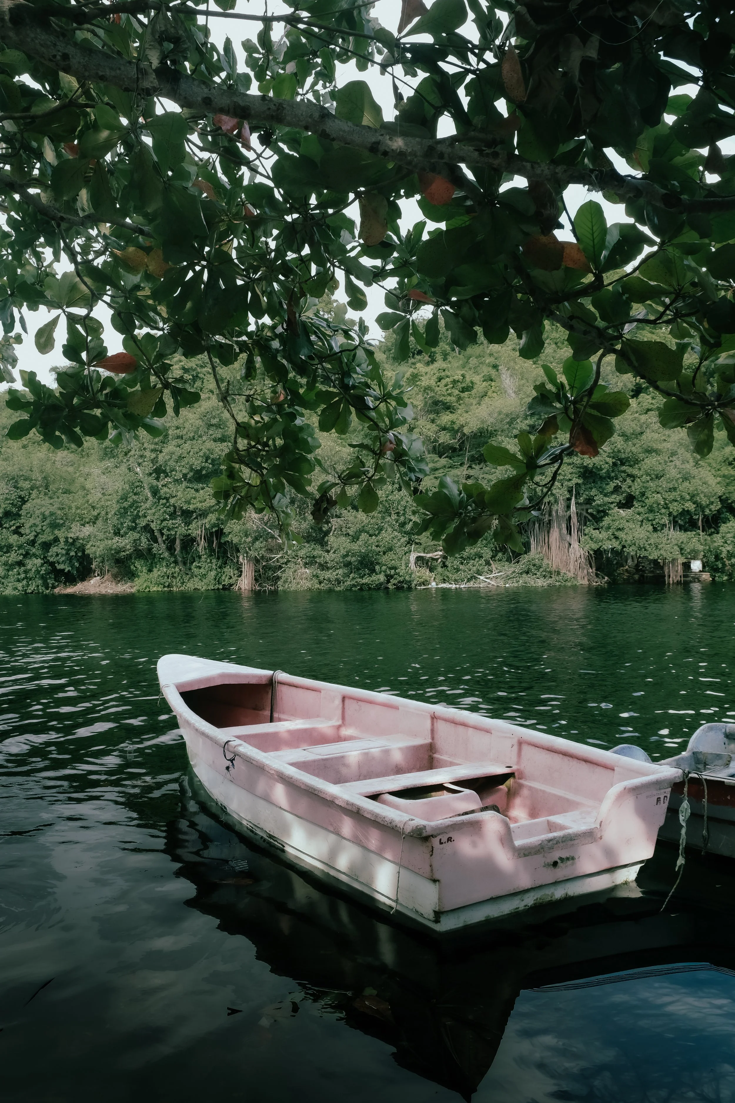 A pink boat floating on calm water near green trees with dense foliage and a shoreline in the background.
