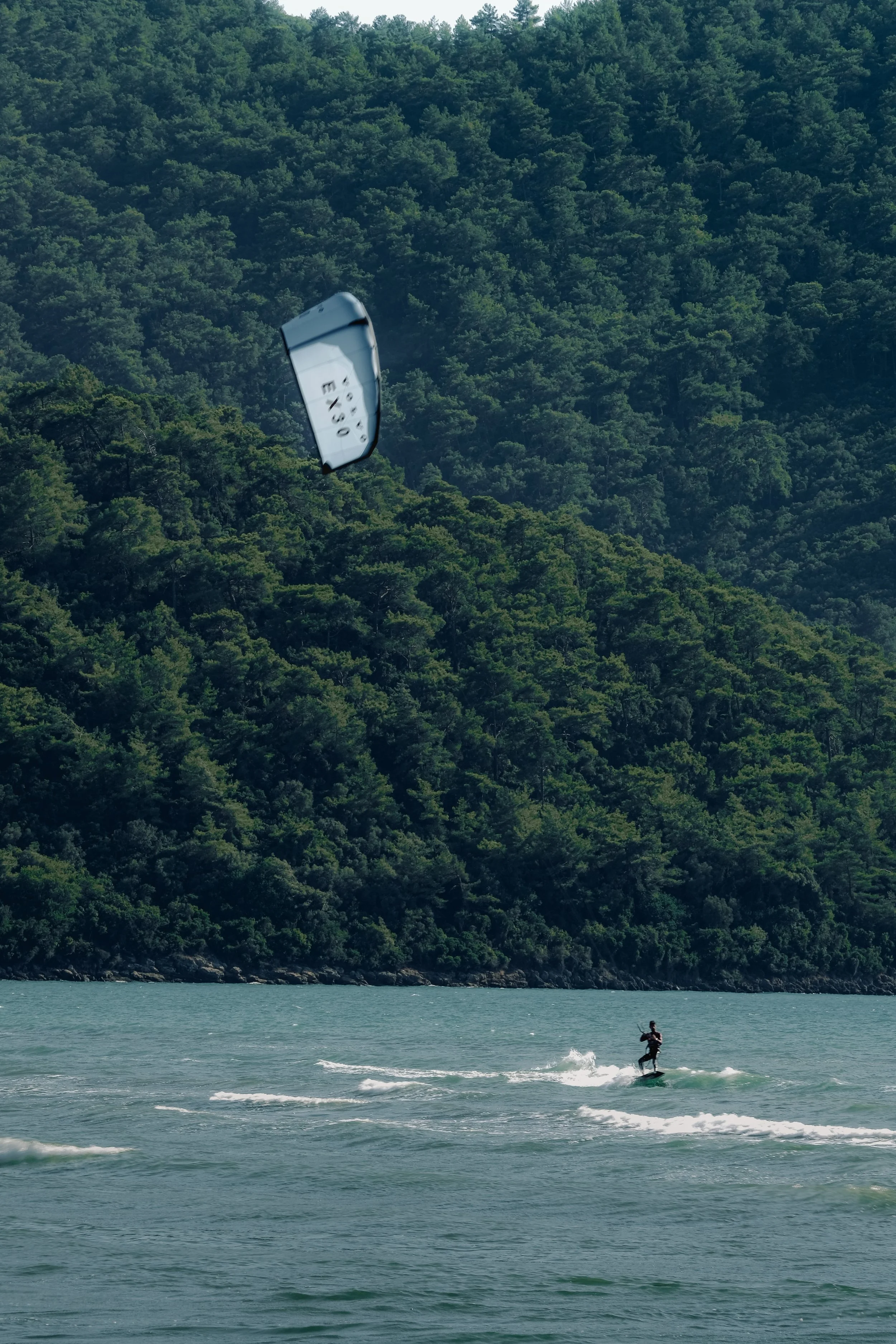 A person kite surfing on the water near a forested coastline with a hill covered in dense green trees in the background.