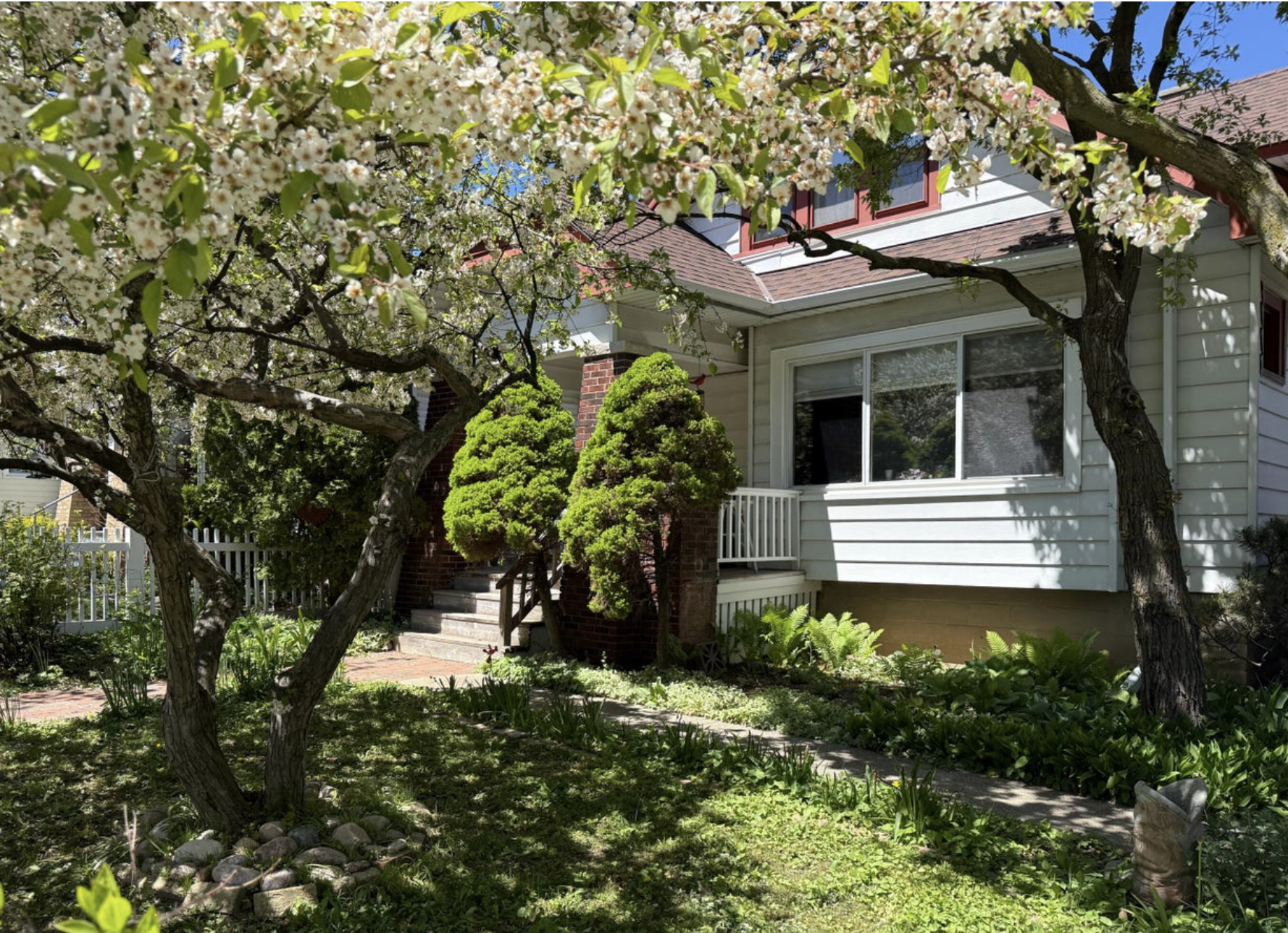 A house with white siding, a red roof, and a small porch is partially obscured by blooming trees with white flowers. There are manicured bushes near the front steps, and a garden with greenery and rocks surrounds the house. Blue sky is visible overhead.