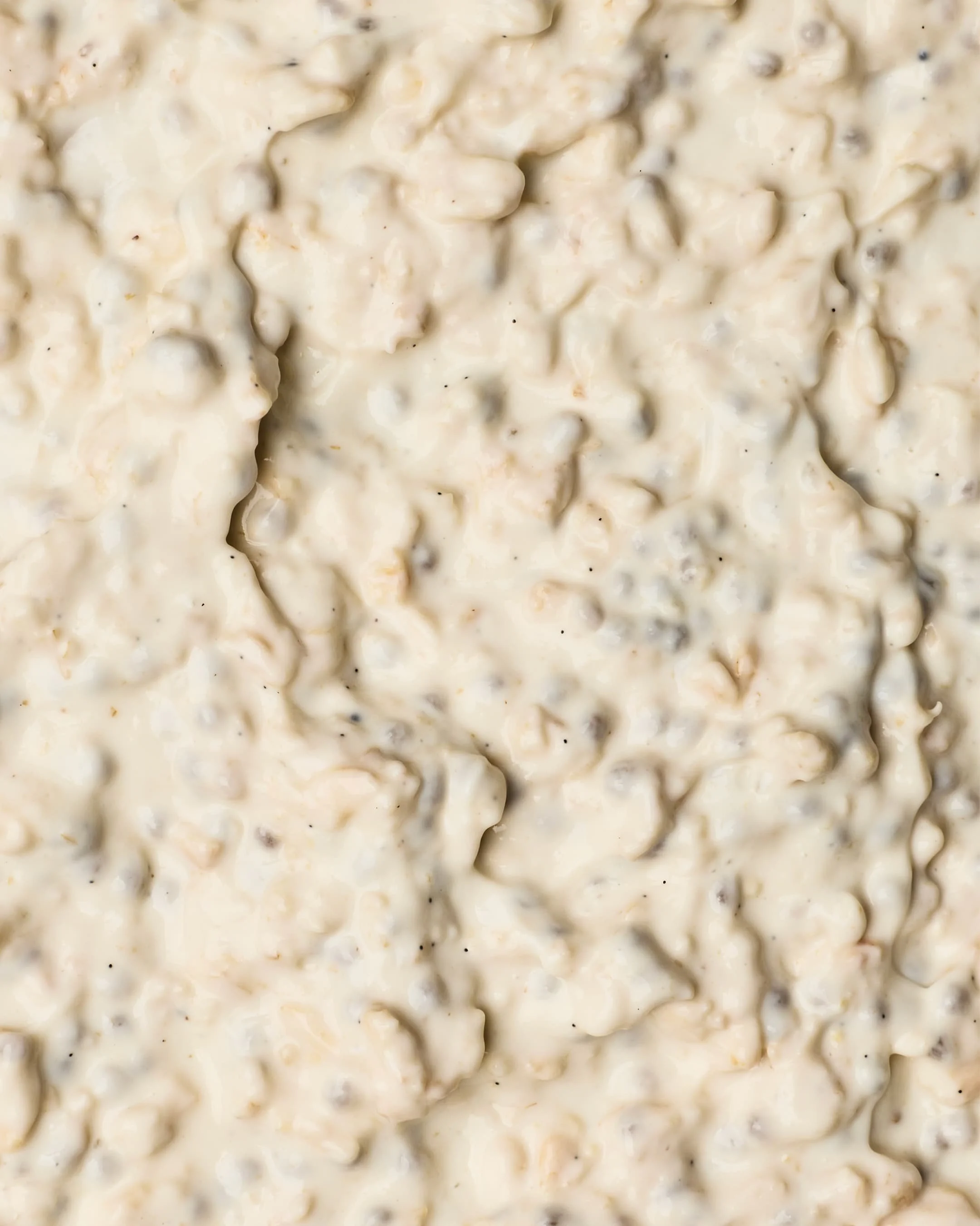 Close-up of a saucy dish, possibly oatmeal or rice pudding, with a creamy texture and visible small granules or grains.