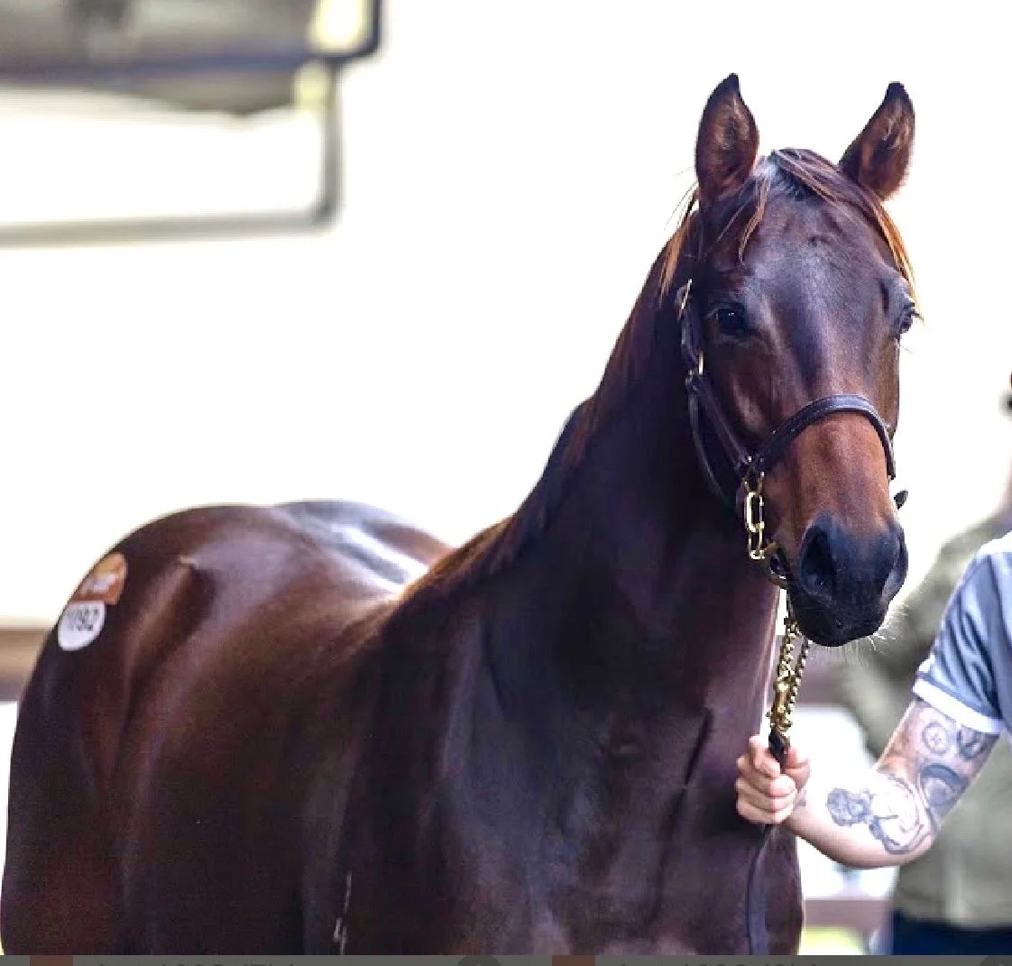 Dirty Work x Deep Song Colt