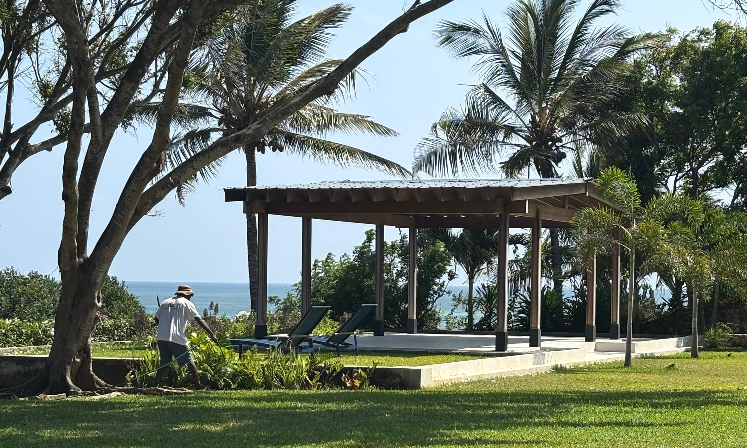 A tropical outdoor scene featuring palm trees, a grassy area, and a wooden pavilion with lounge chairs, overlooking the ocean. A person is walking through the greenery.