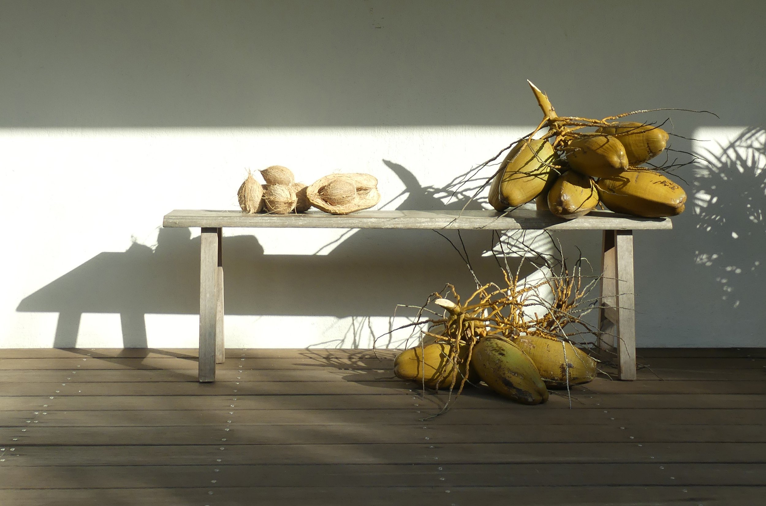 A minimalist display of dried yuca or cassava roots, some whole and some halved, on a light wooden table against a plain wall, with shadows cast by sunlight.