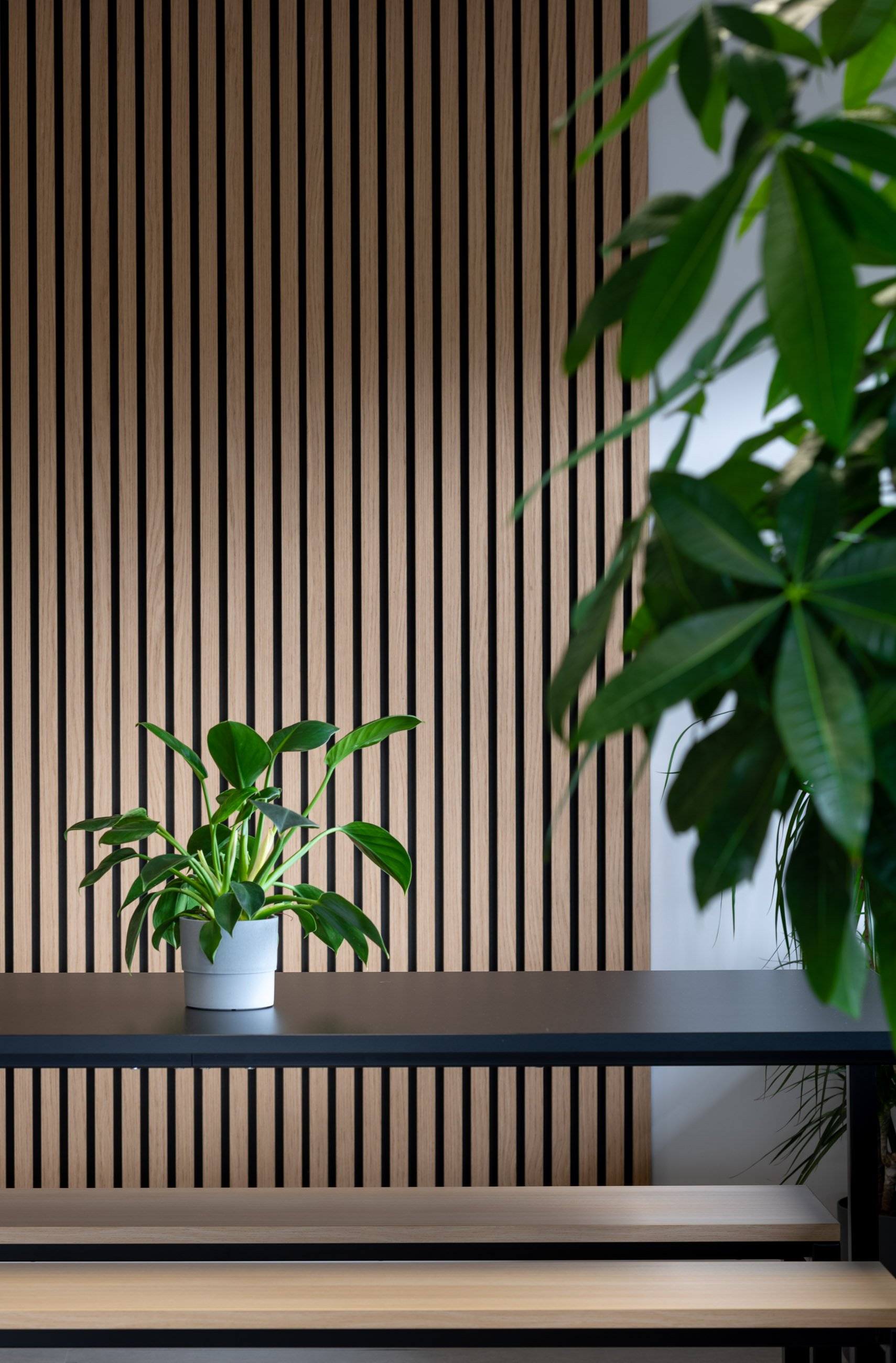Interior space featuring a wooden slat wall with green potted plants on a gray table.