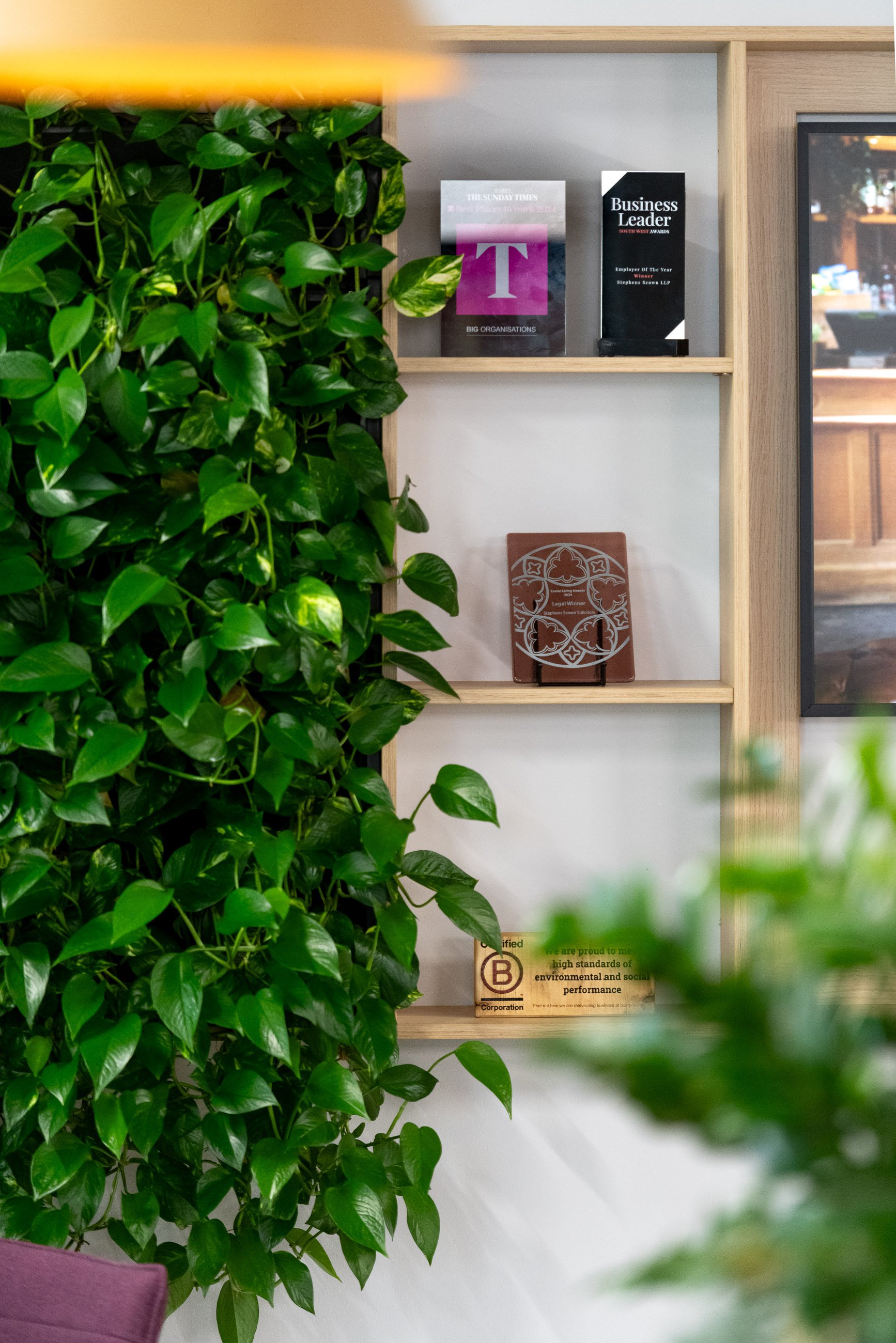 A green leafy plant on the left side and four awards and certificates on the right, mounted on a beige wooden shelf.