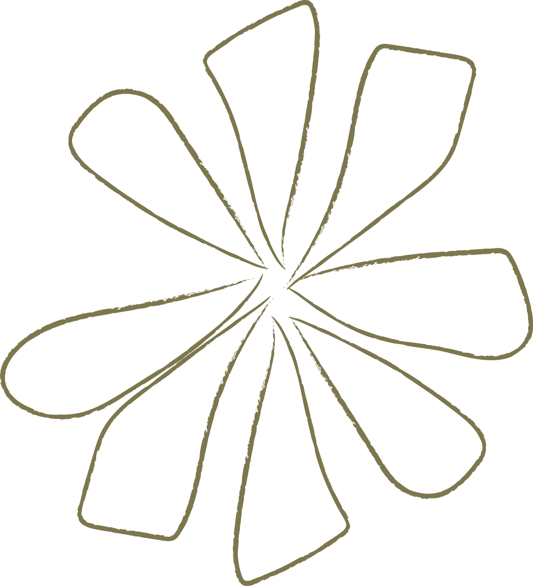 A line drawing of a flower with elongated petals radiating from the center, outlined in a light color on a transparent background.
