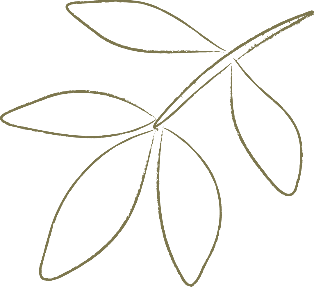 Minimalist line drawing of a small branch with five elongated leaves against a black background.