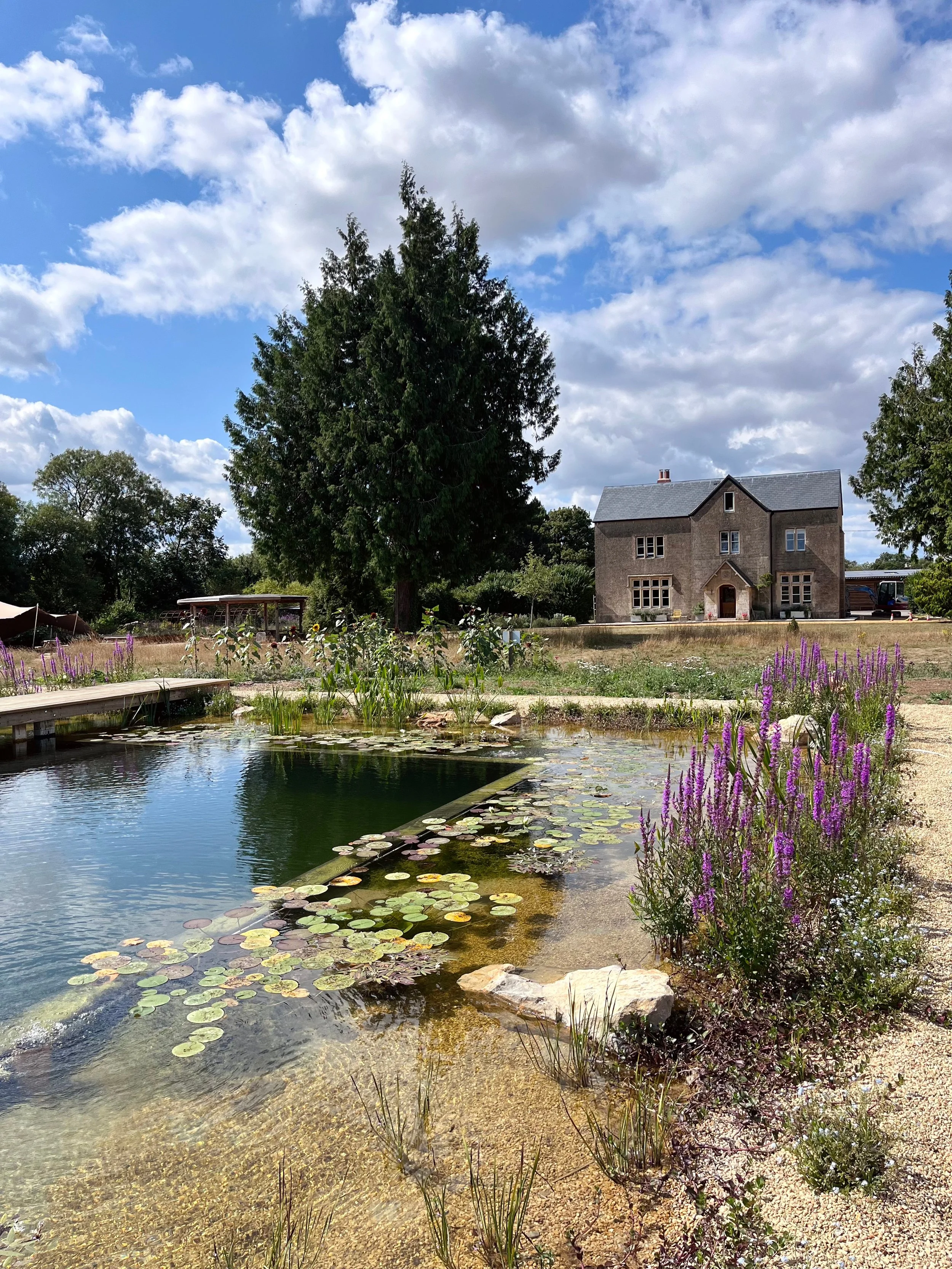 A serene garden scene with a pond filled with lily pads, surrounded by purple flowers, green plants, and a large house with gray stone walls in the background. The sky is partly cloudy with patches of blue.