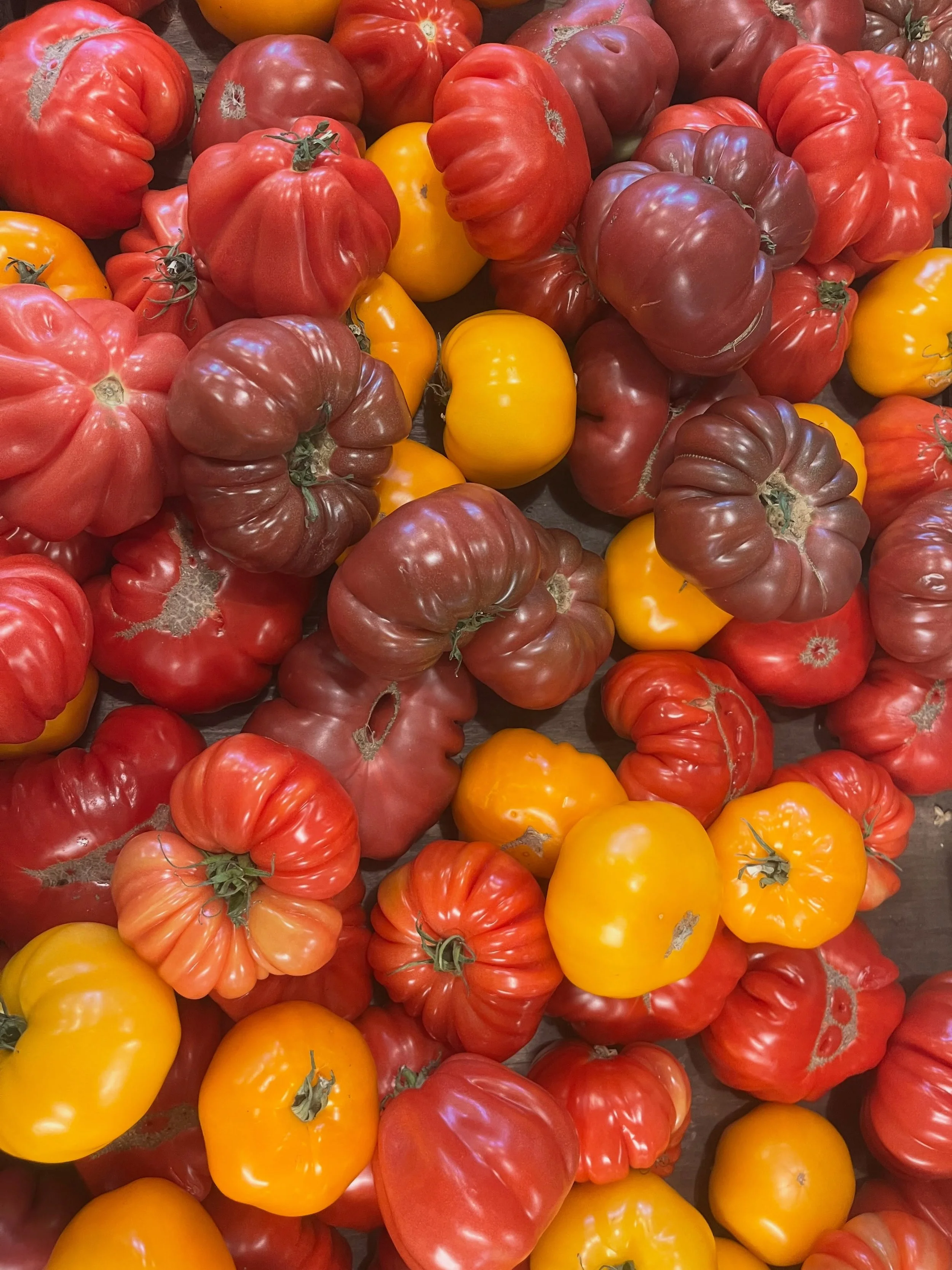 Happy tomater season to all who celebrate. 🍅