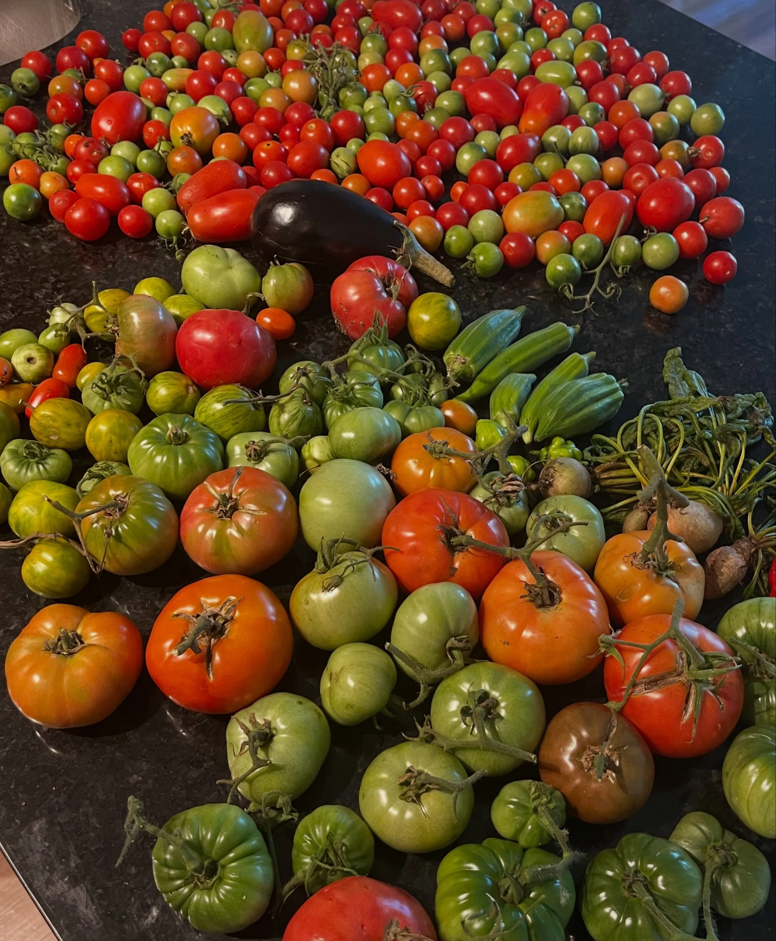 And just like that, tomato season is officially over. 🍅

The last plants are out, and the beds are making room for fall crops like lettuces, carrots and peas.

It&rsquo;s always amazing how quickly a garden shifts. One week it&rsquo;s overflowing wi