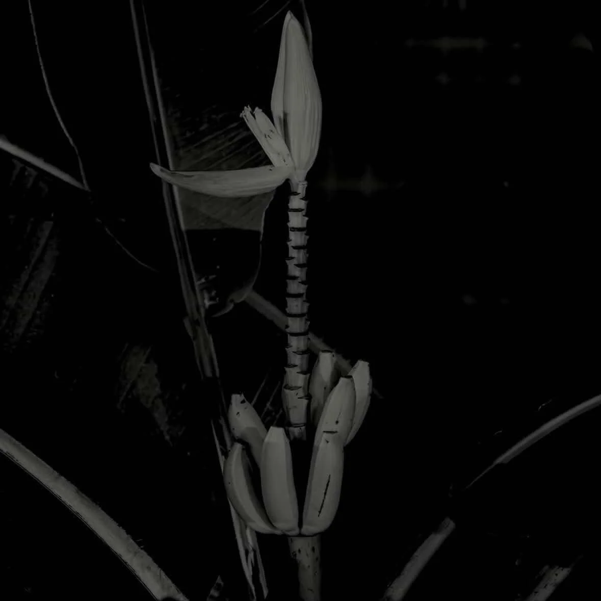 673597655_1259531383020916_1017660721441689616_n.jpg