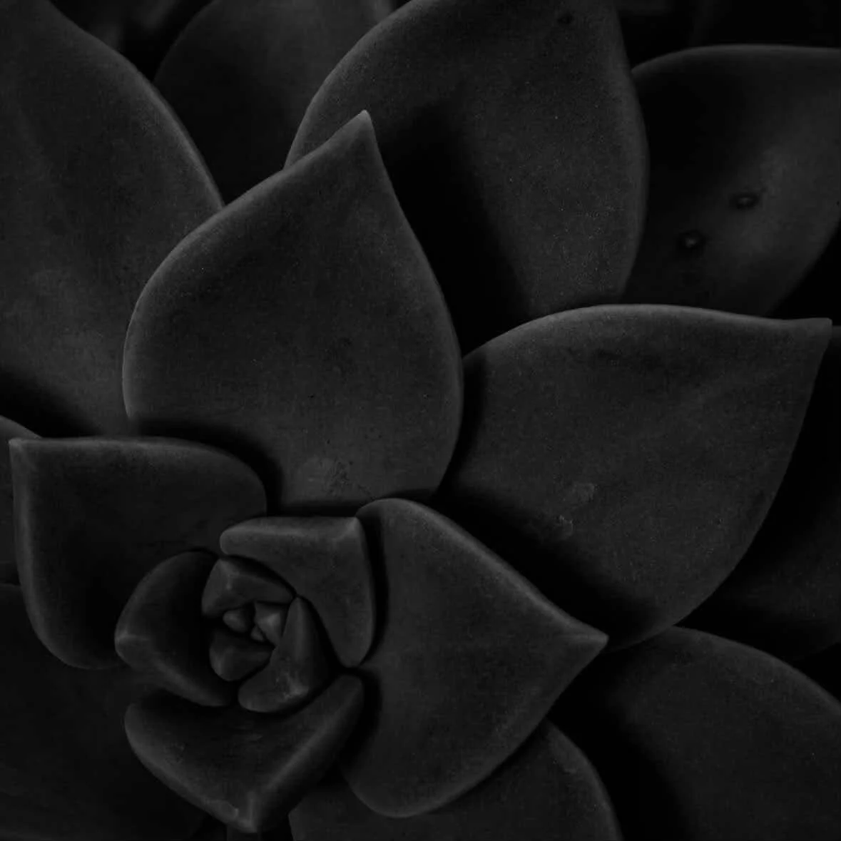 673500106_1259531519687569_7801044615863249429_n.jpg