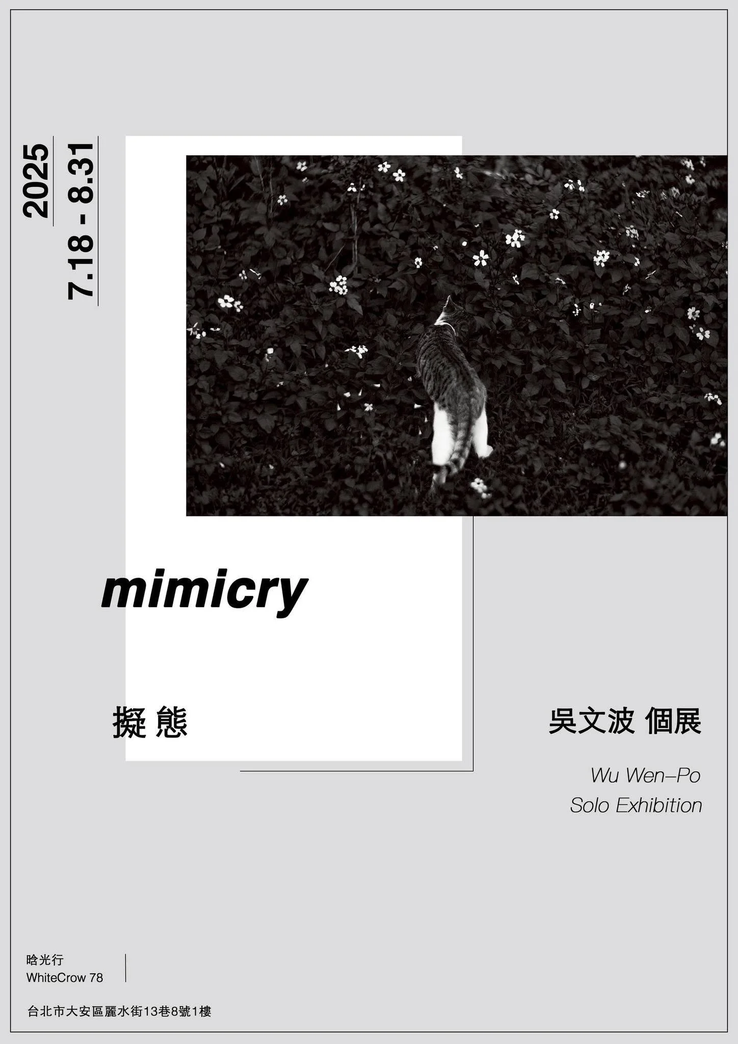  《擬態｜Mimicry》吳文波的鉑金印相攝影個展