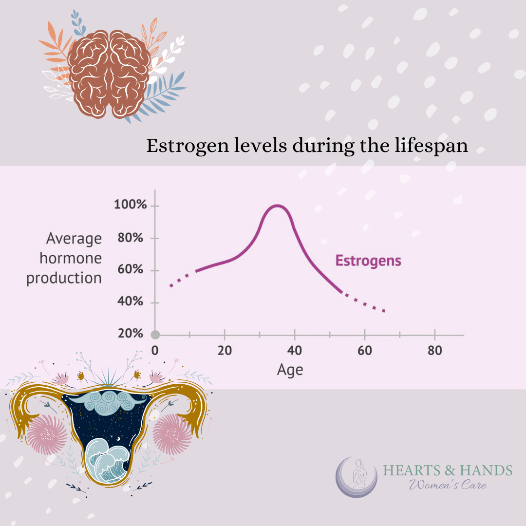 Getting to know your Estrogen