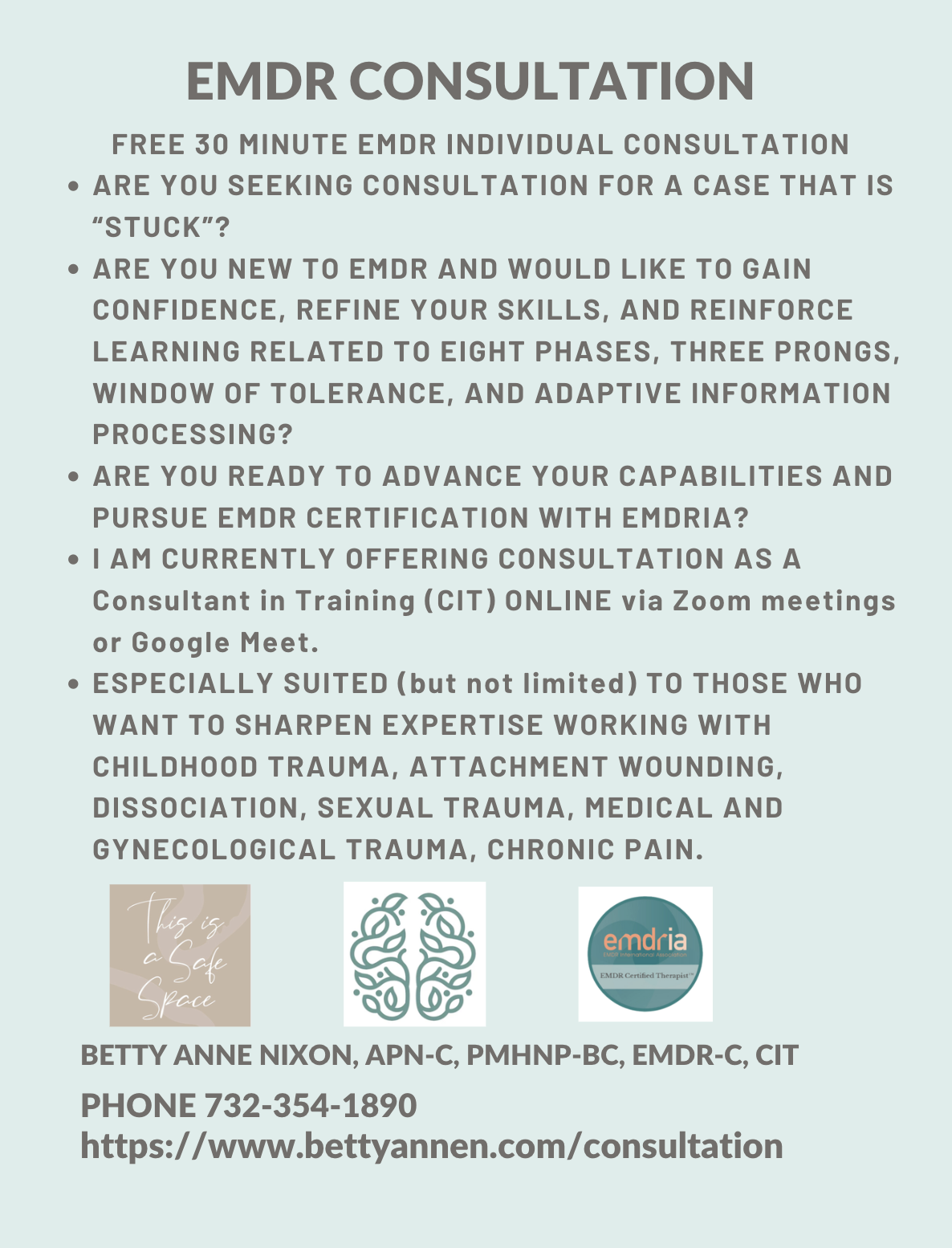 Information about EMDR consultation services, including free 30-minute sessions, training programs, target audience, contact details, and website, with logos and a note that says 'This is a Safe Space'.