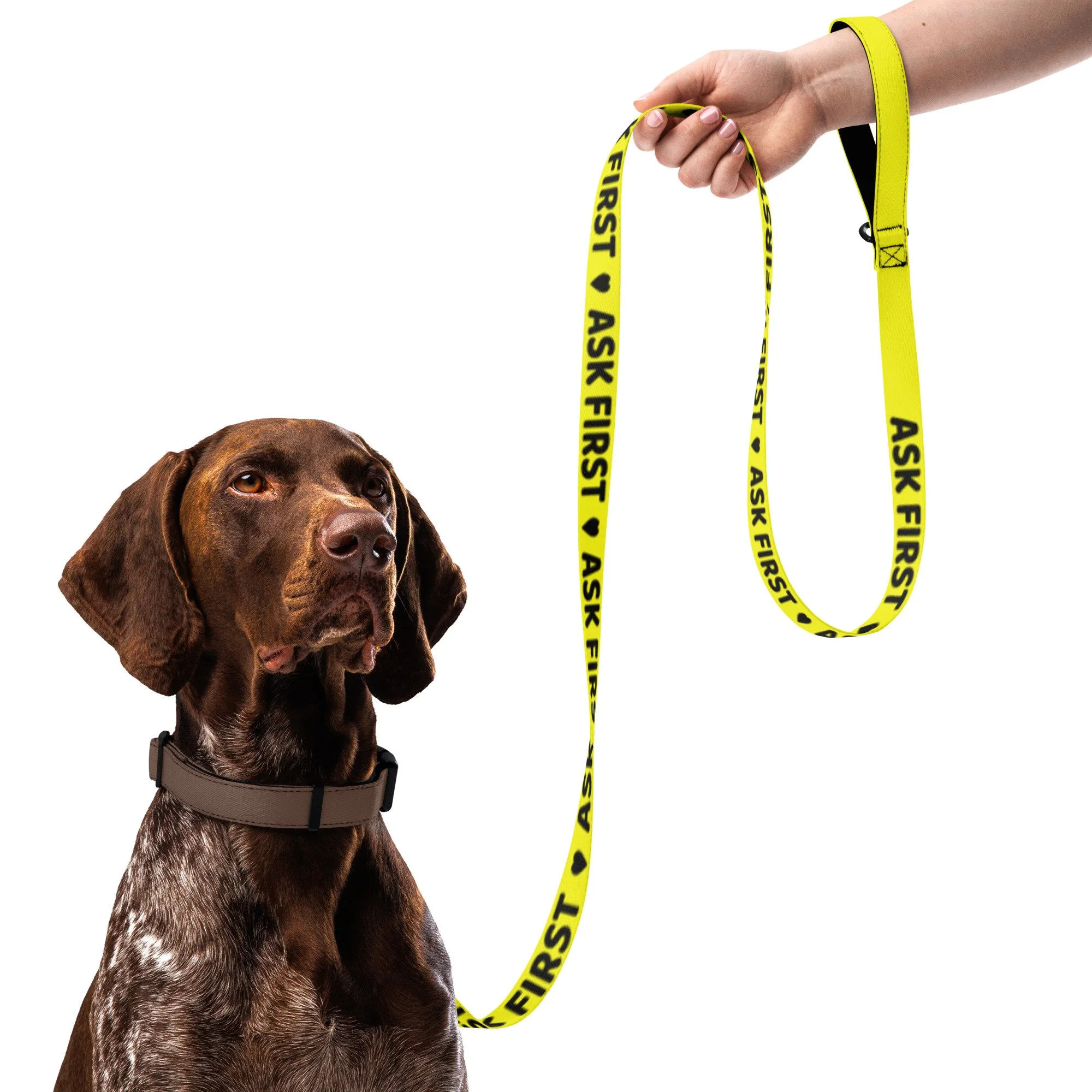 'Ask First' Yellow Dog Leash — 6 ft Padded Handle, Ask Before Petting