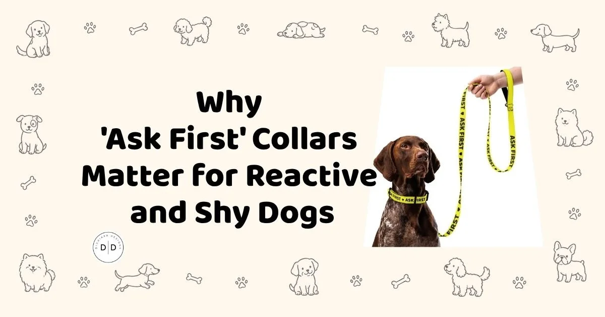 Why 'Ask First' Collars Matter for Reactive and Shy Dogs