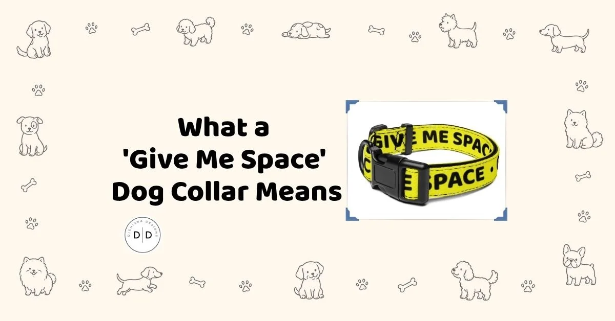 What a 'Give Me Space' Dog Collar Means (And How to Respect It)