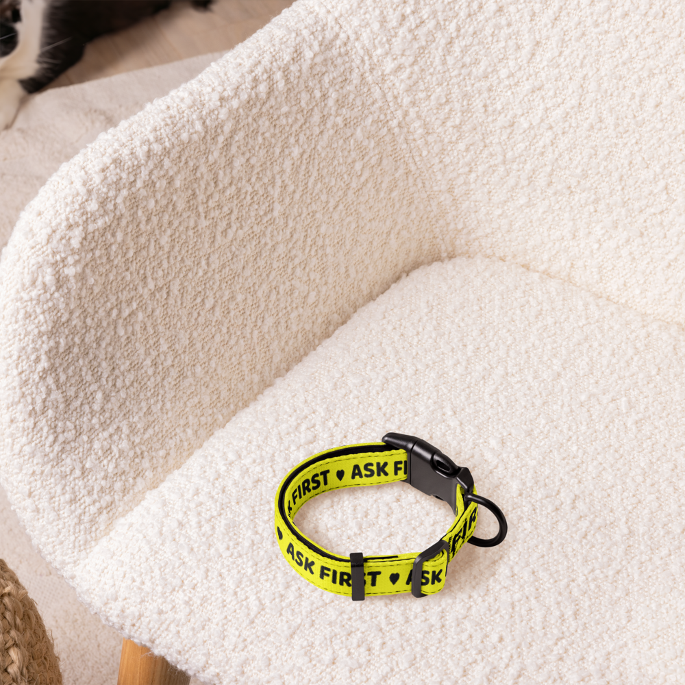 pet-collar-white-s-front-6a9923968cdeb.png