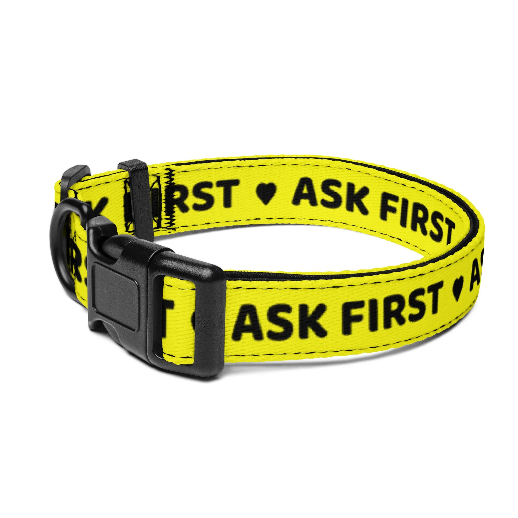 Yellow ASK FIRST dog collar shown flat in size large with its black buckle