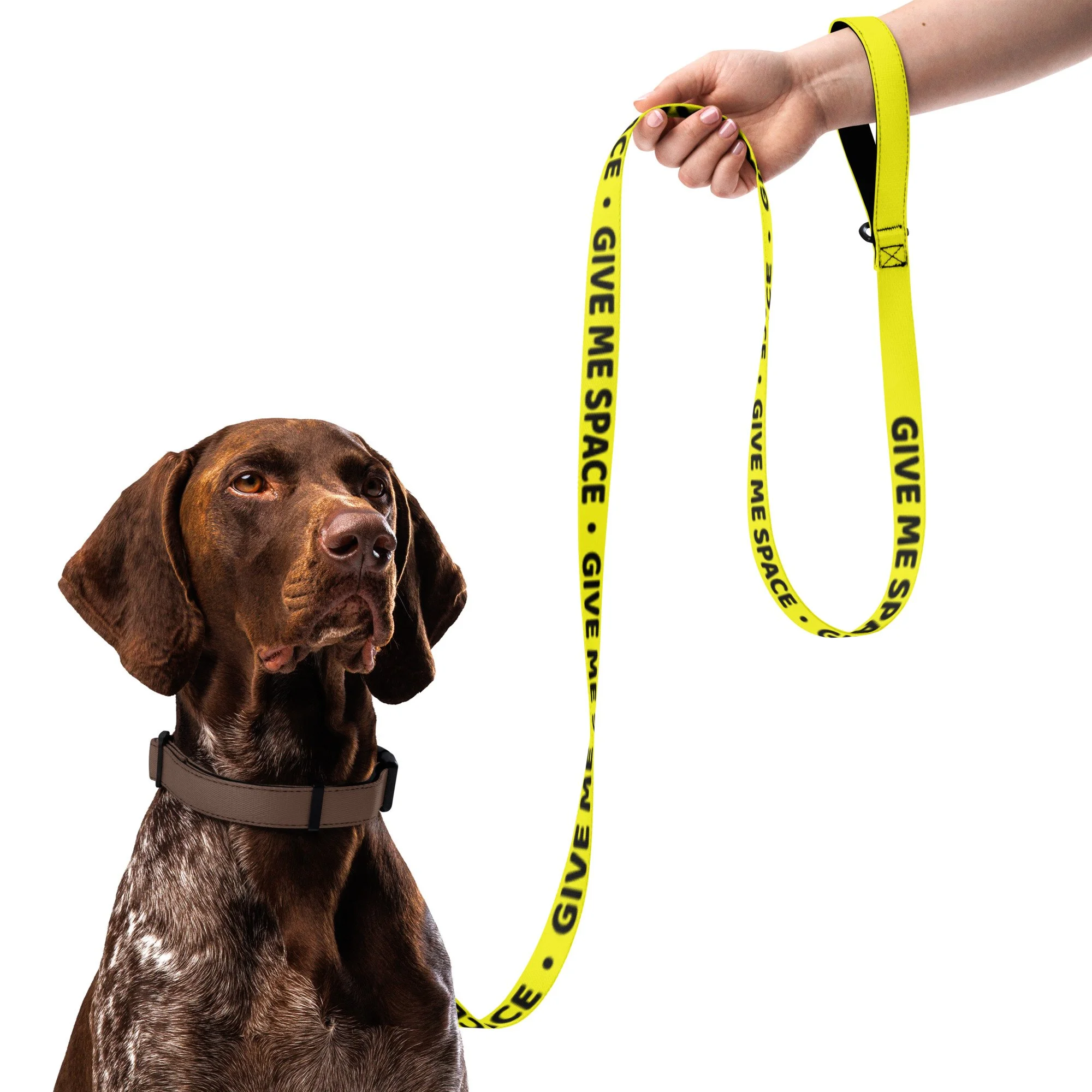 'Give Me Space' Yellow Reactive Dog Leash — 6 ft Padded Handle, Nervous Dog Awareness