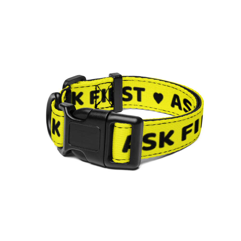 Small close-up of the adjustable black buckle on the yellow ASK FIRST collar