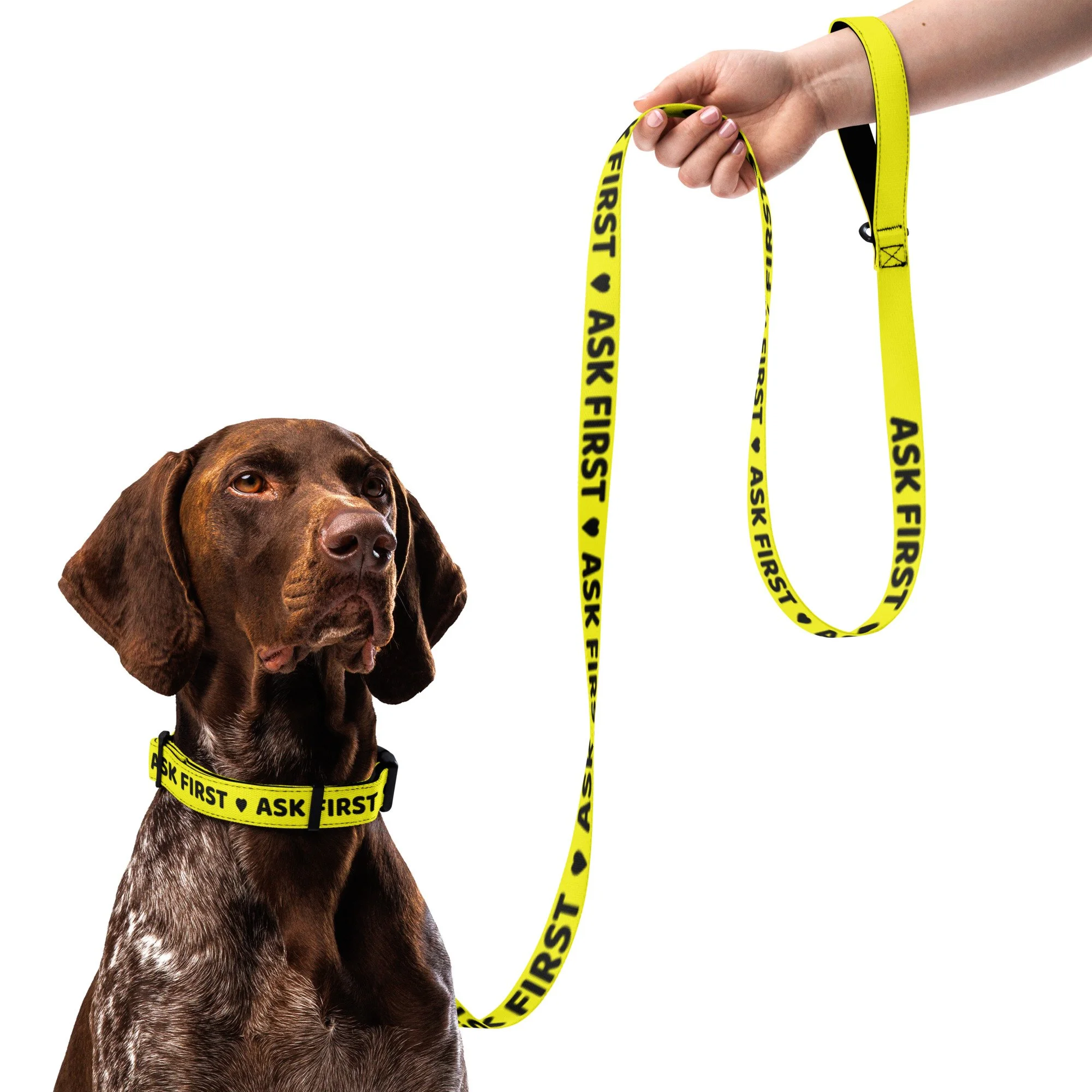'Ask First' Yellow Dog Collar & Leash Set — Ask Before Petting