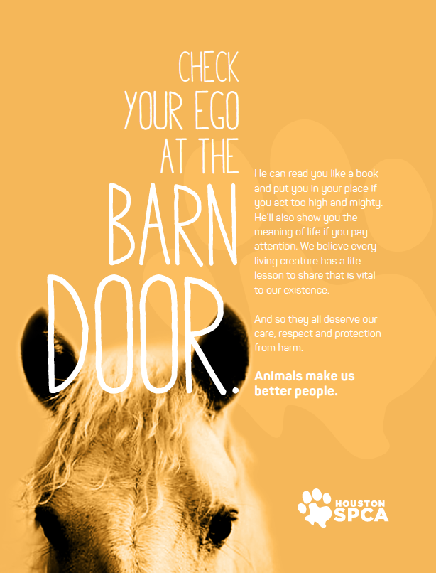 HoustonSPCA_HorseEgo.png