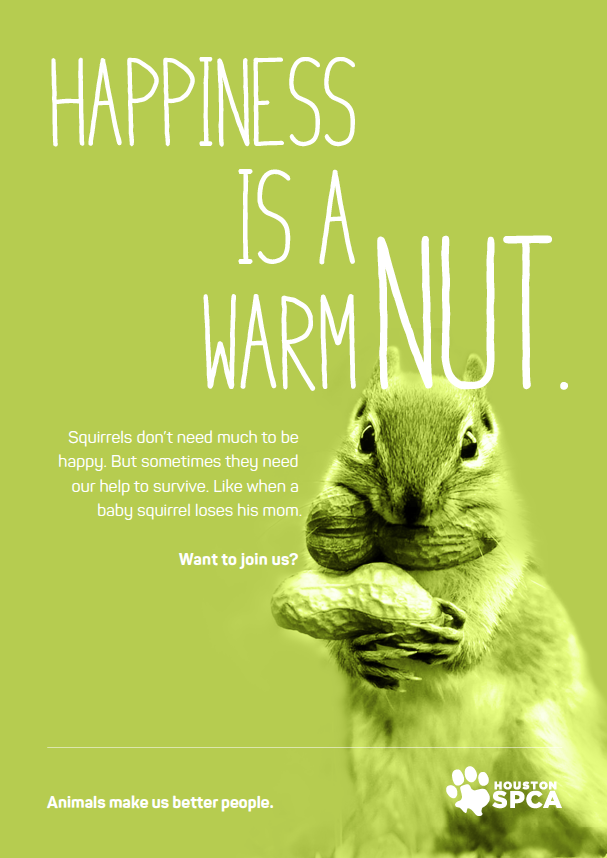 HoustonSPCA_SquirrelNut.png