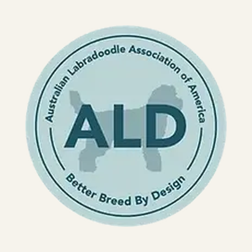alda-australian-labradoodle-association-america-member.png