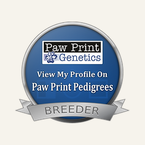 paw-print-genetics-pedigrees-health-tested-breeder-profile.png