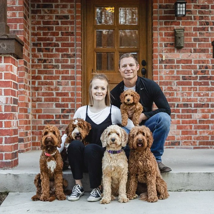 A man and a woman sitting on front steps with four brown dogs in front and one in his arms in front of a brick house with wooden door.