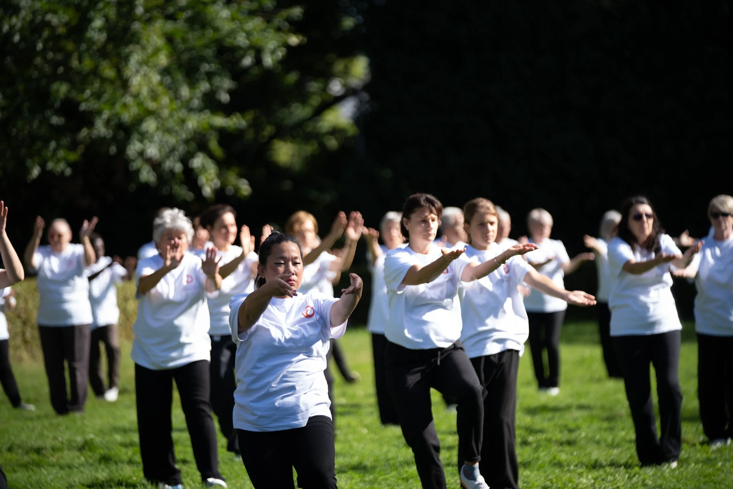 Retour sur la Journée mondiale du Health Qigong 2024