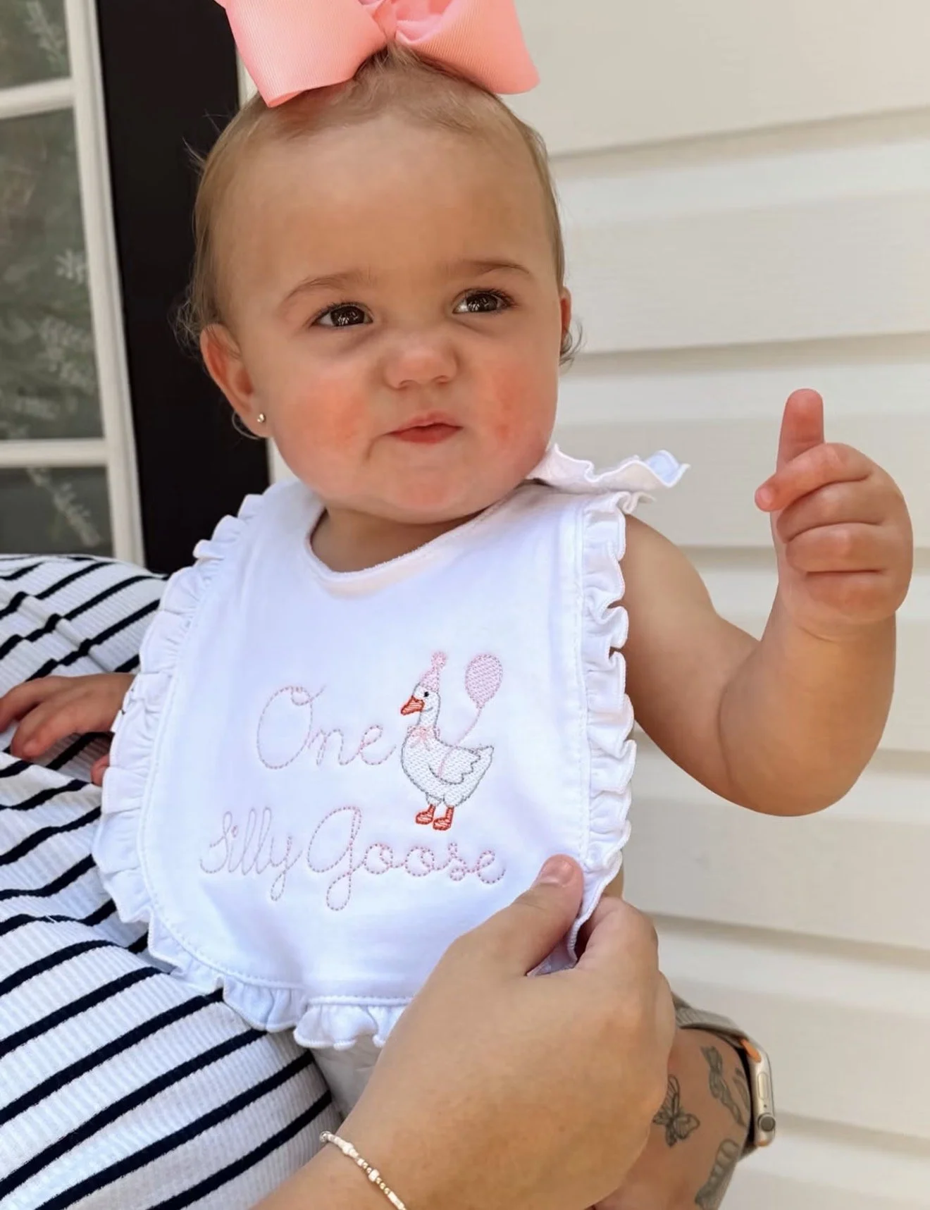 One Silly Goose Bib