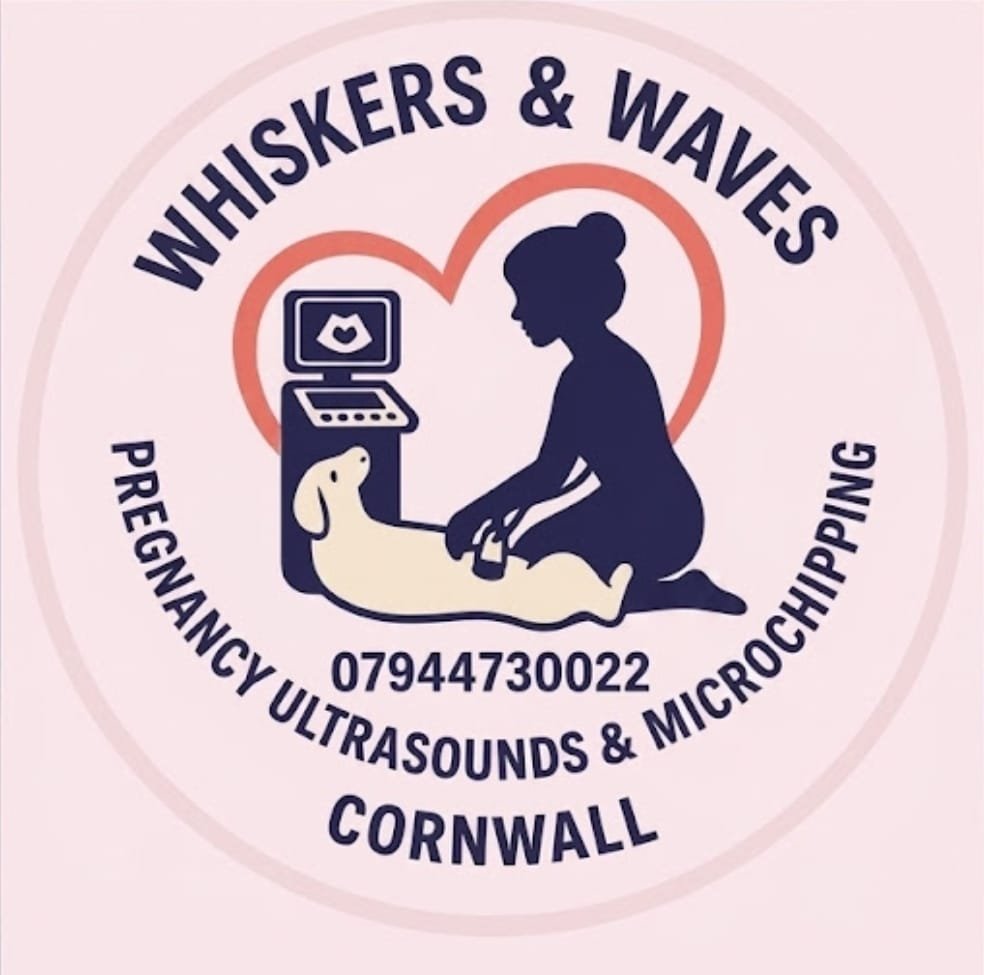 Whiskers &amp; Waves 