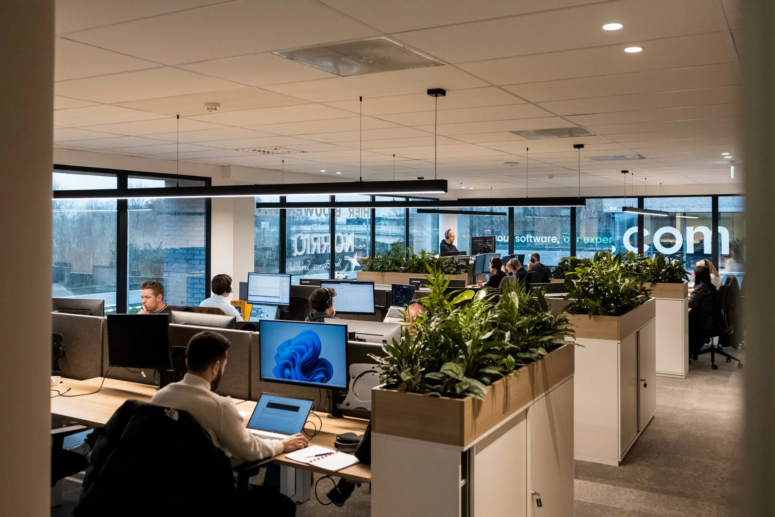 Office workspace with employees working at desks with computers, large windows, green plants in white planters, and modern lighting fixtures.