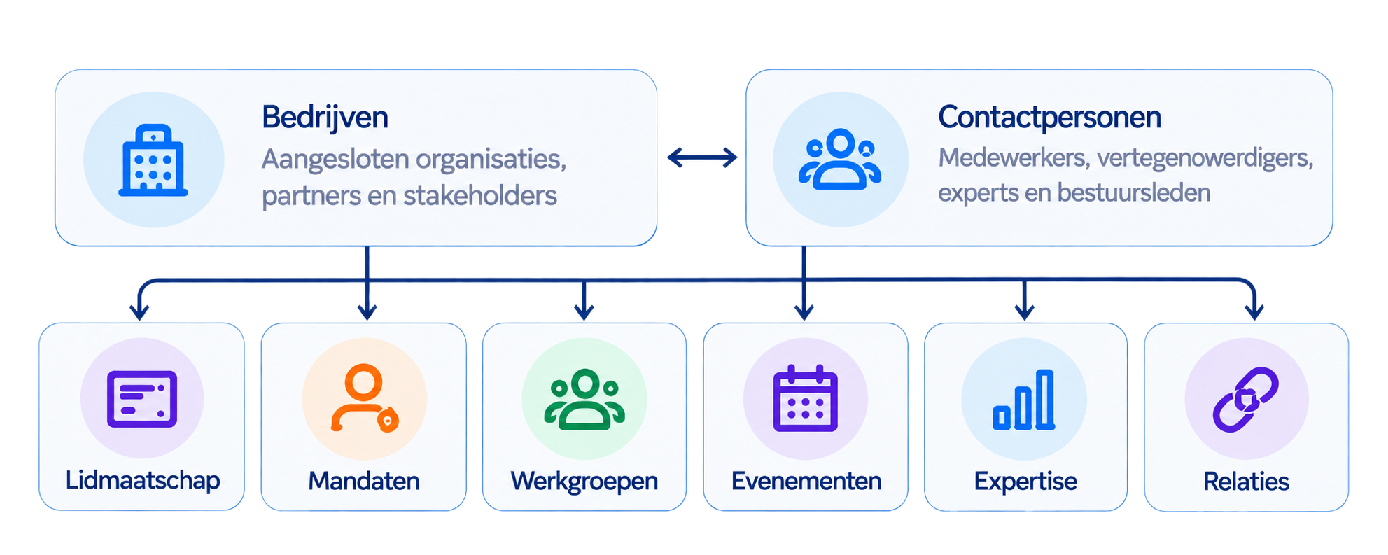 Diagram van een organisatie met twee hoofdsecties: Bedrijven en Contactpersonen. Bedrijven omvatten aangesloten organisaties, partners en stakeholders. Contactpersonen omvatten medewerkers, vertegenwoordigers, experts en bestuursleden. Onder Bedrijven zijn ook subcategorieën: Lidmaatschap, Mandaten, Werkgroepen, Evenementen, Expertise en Relaties, elk met bijbehorende pictogrammen.