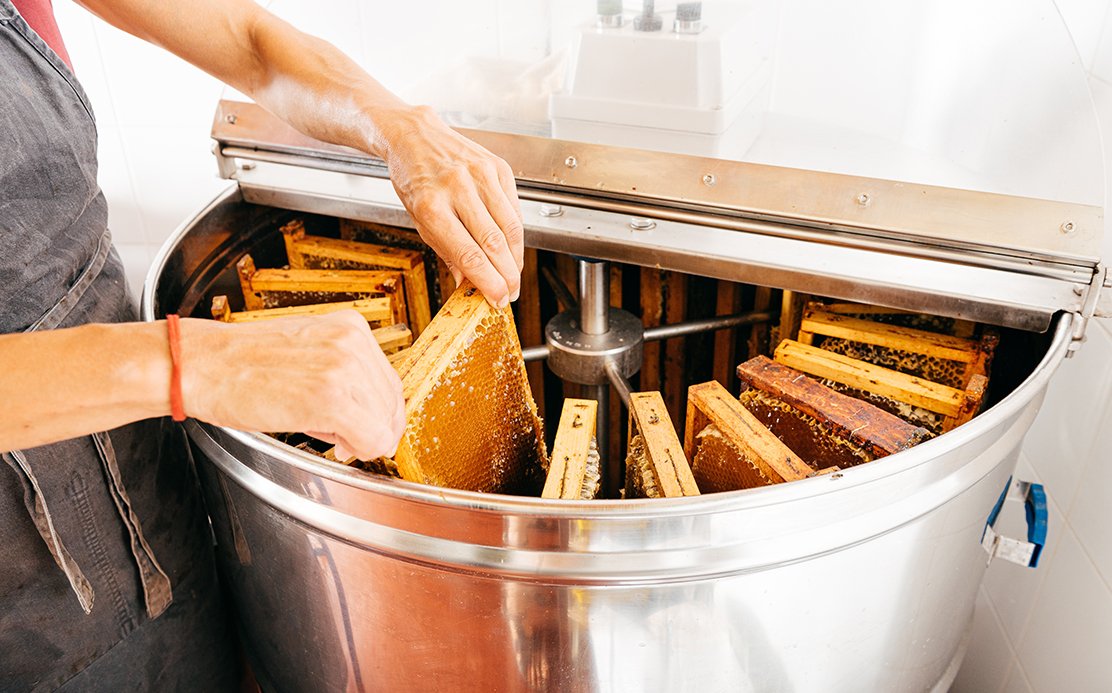 Person harvesting honey from a beehive with a honey extractor machine.