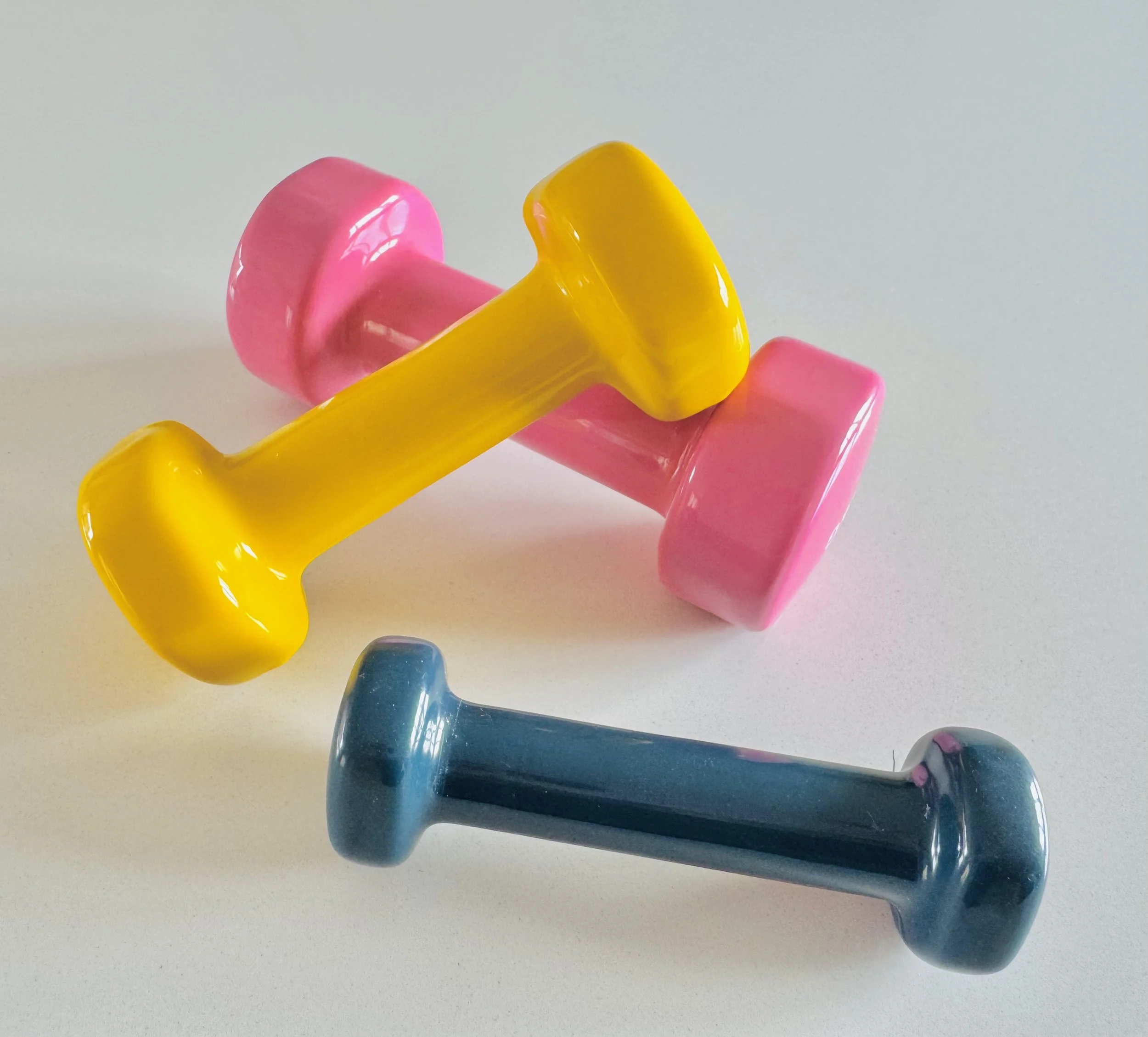 Light hand weights used for strength and rehabilitation exercises.
