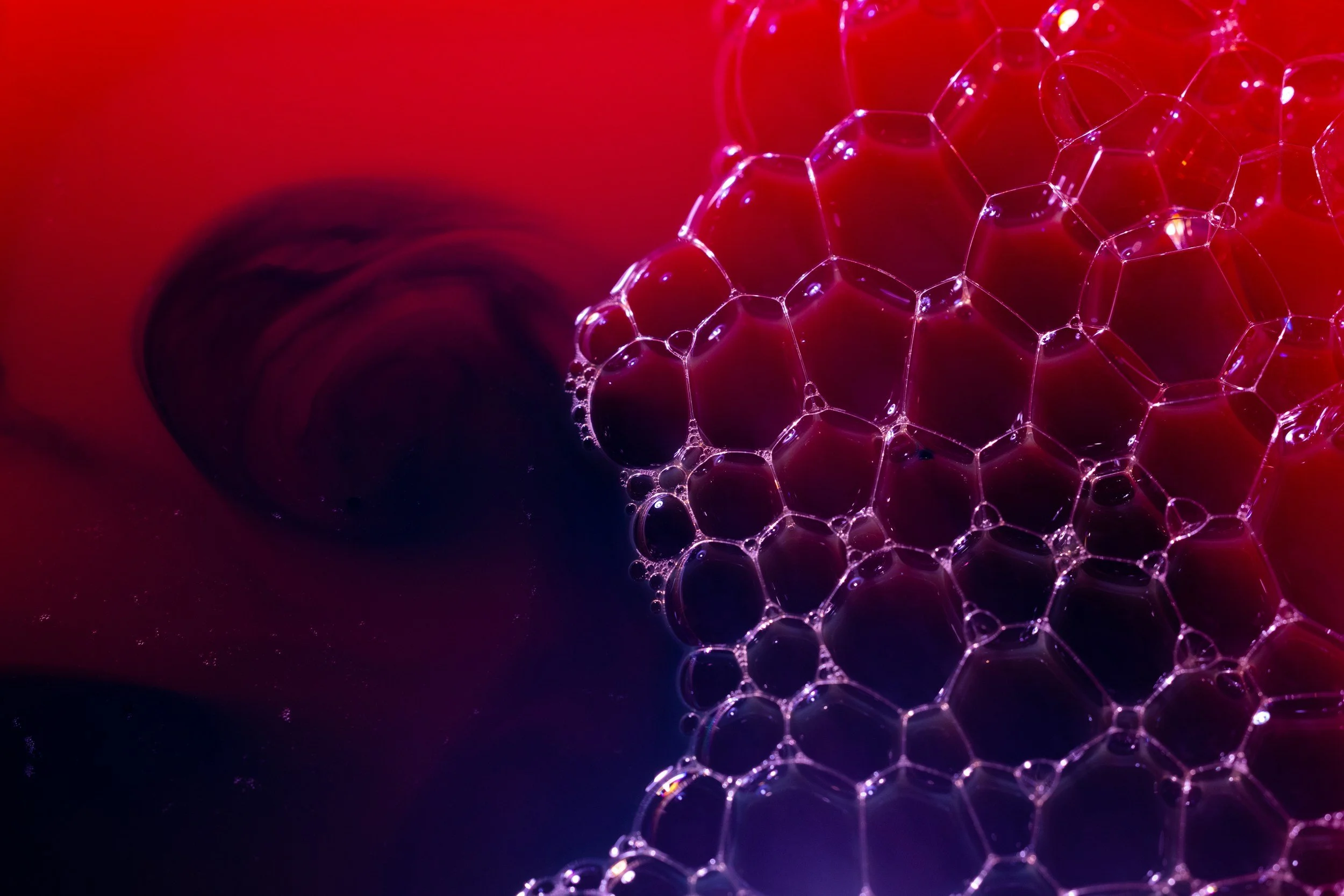 Close-up of bubbles on the surface of a chemical liquid forming a vibrant red and purple background.