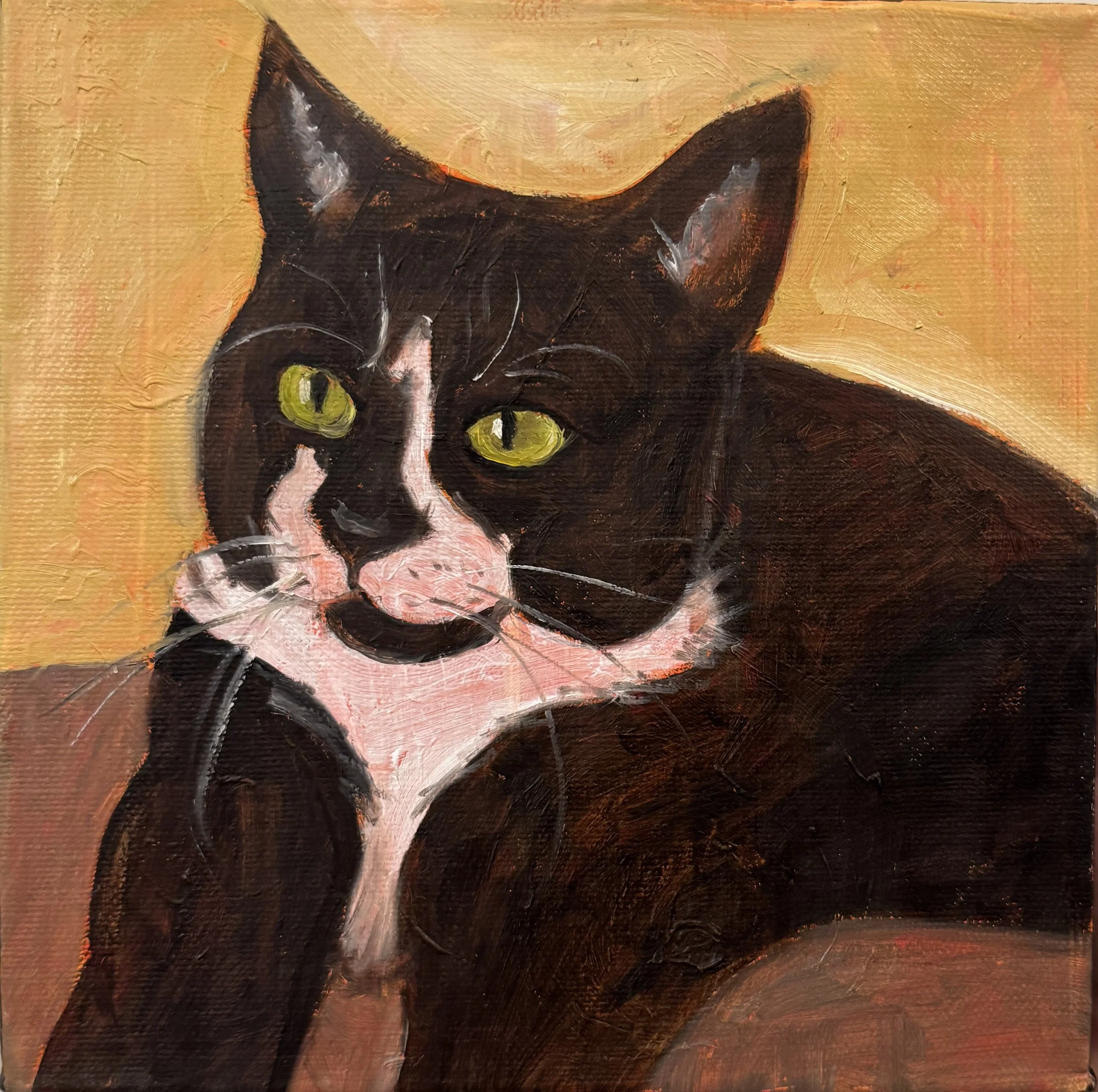 Tuxedo Kitty, Oil paint on canvas, 6"x6" 2025. A painting of a black cat with bright green eyes against a warm orange background.